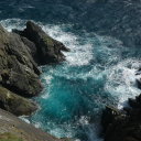 balsaminaceae avatar