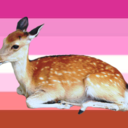 bambi-lesbians-inc avatar