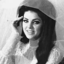 bambieyedfawn avatar