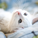 bambinadallospazio avatar