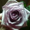 bambolaassassina avatar