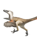 bambugsinmymouth avatar