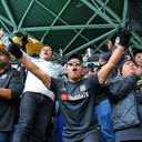 bamfzombislayer avatar