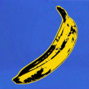 banana-bonanza avatar