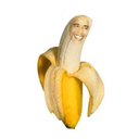 bananaobama-blog avatar