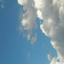 bananapocalypsedreams avatar