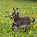 bananarama236 avatar