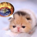 bananashakexx avatar