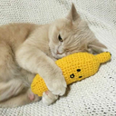 bananasinsocks avatar