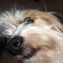 bananitas-con-cereza avatar