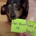 bandsnbookstuff avatar