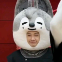 bangchansfavoritenoona avatar