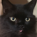 banjobebleping avatar