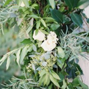 banksash-blog avatar