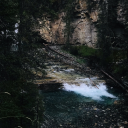 bannahammock101 avatar