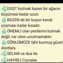 banualper2629-blog avatar