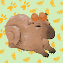 barabaraoranges avatar