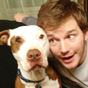 barackyroad-blog avatar