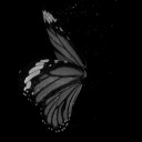 barbaraebasta avatar