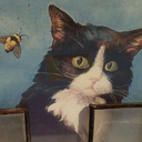 barbarbeerbar avatar