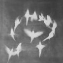 barbecued6girl6meat6 avatar