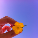 barbie-love-baby avatar