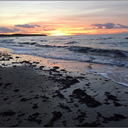 barbie-unperfekt avatar