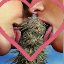 barbiestonerworld avatar