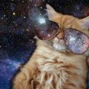 barbievoldemort avatar