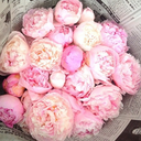 barbyka01-blog avatar