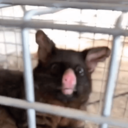 bardzoladneobrazki avatar