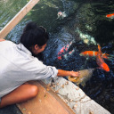 bare-beer-bear avatar