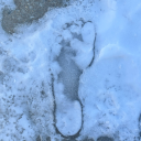 barefoot-in-winter avatar