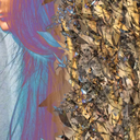 barely-bearing avatar