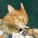 barelycontainedbreakdown avatar