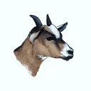 barelytangledbones avatar