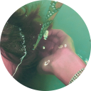 barenaked-daisy avatar