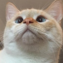 barfchowder avatar