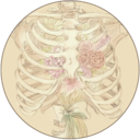 baringmybones avatar