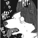 barking-angel avatar