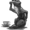 barking-spiders avatar