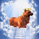 barkspawnsblog avatar