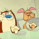 barnaclebulbul avatar