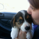 baronvonwaffles avatar