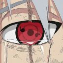 barracudareign-blog avatar