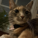 barriicadebitch avatar