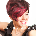 barryalanhair-blog avatar