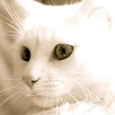 baruc-3a7uc-alejandro avatar