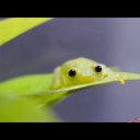 basedonmylikes avatar