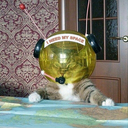 bashfulcreature avatar